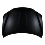 Hood panel assy Steel - LEXUS CT200h 2011-2017