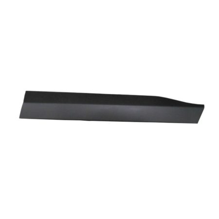 Right Front door side molding Lower; Matte Black - TOYOTA RAV4 2019-2023