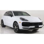 SY-CAYENNE1923-TKT-BKFR-2